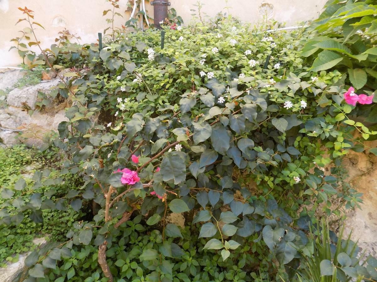 Garden&house Vero *